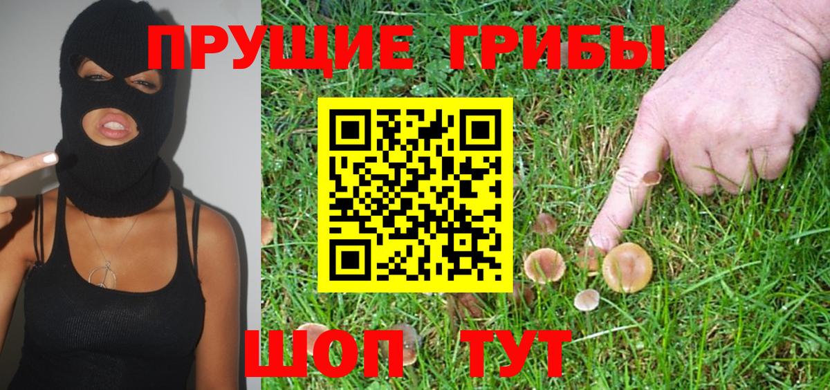 Аша  Галлюциногенные грибы Psilocybe  Вход с VPN 
